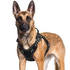 Rabbitgoo dog harness with no-pull front clip for easier training.