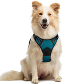 Rabbitgoo dog harness no-pull chest-clip blue coral for safer training and walks