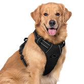 Rabbitgoo dog harness with chest clip for no-pull control during training and walks