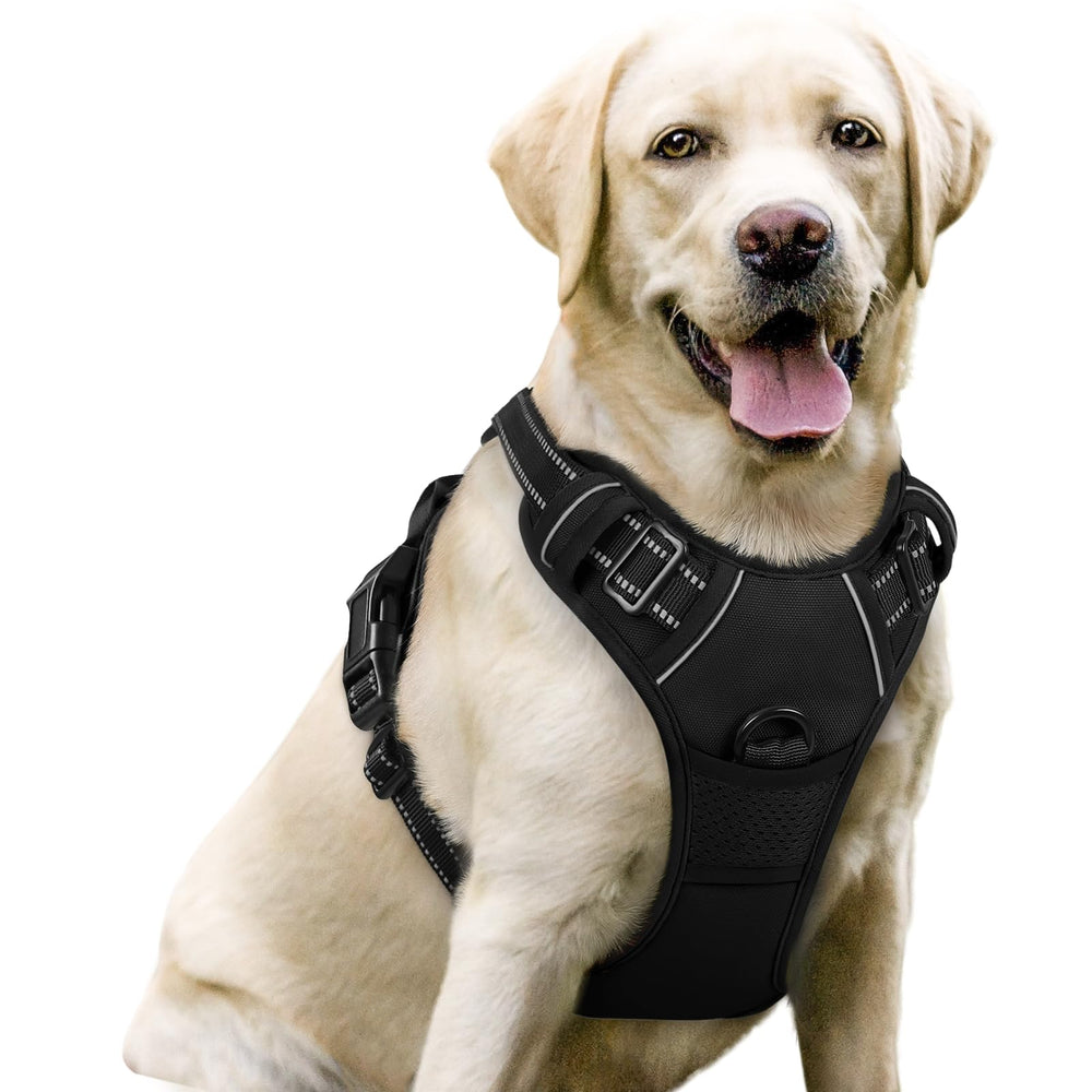Rabbitgoo no pull chest clip harness on a calm walk showing control.