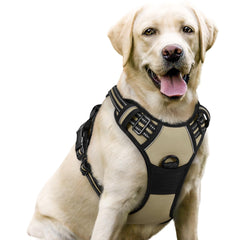 Rabbitgoo dog harness no-pull chest clip aids safer, more controlled walks
