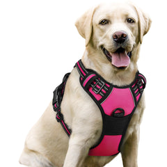 Rabbitgoo no-pull harness with front chest clip for safer walks