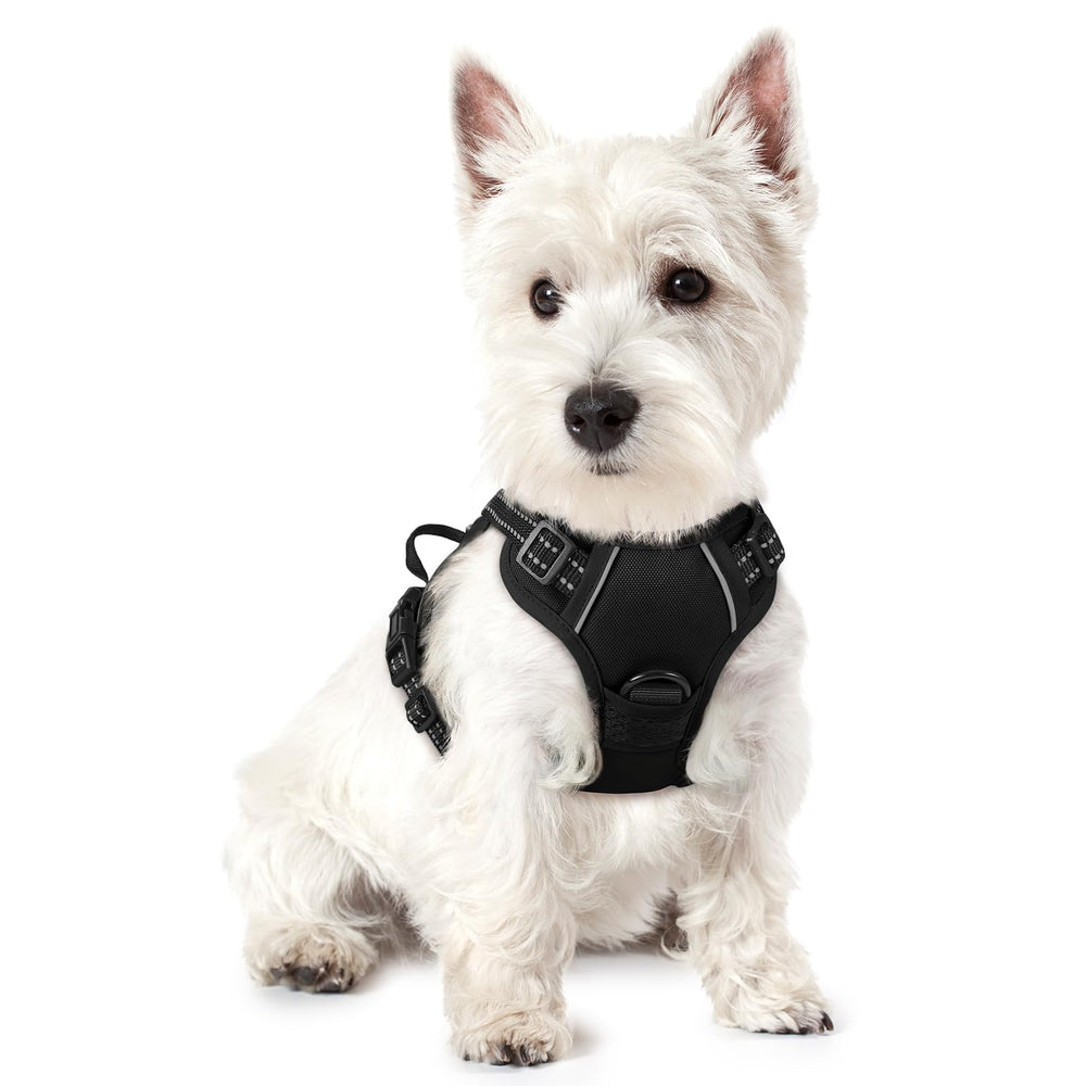 Rabbitgoo dog harness front view showing no-pull design for calmer walks.