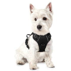 Rabbitgoo dog harness front view showing no-pull design for calmer walks.