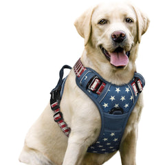 Rabbitgoo dog harness No Pull with back clip for safer controlled walks.