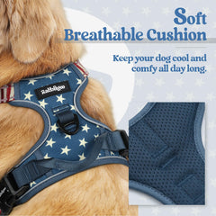 Rabbitgoo dog harness No Pull with chest clip helps stop pulling during training.