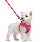 Rabbitgoo small rose red dog harness front view with adjustable straps for a secure fit.