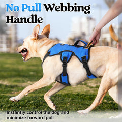 rabbitgoo Escape Proof Dog Harness blue back D-ring enables controlled, relaxed walking