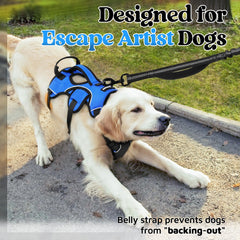 rabbitgoo Escape Proof Dog Harness blue side-adjustments demonstrate customizable fit for mobility