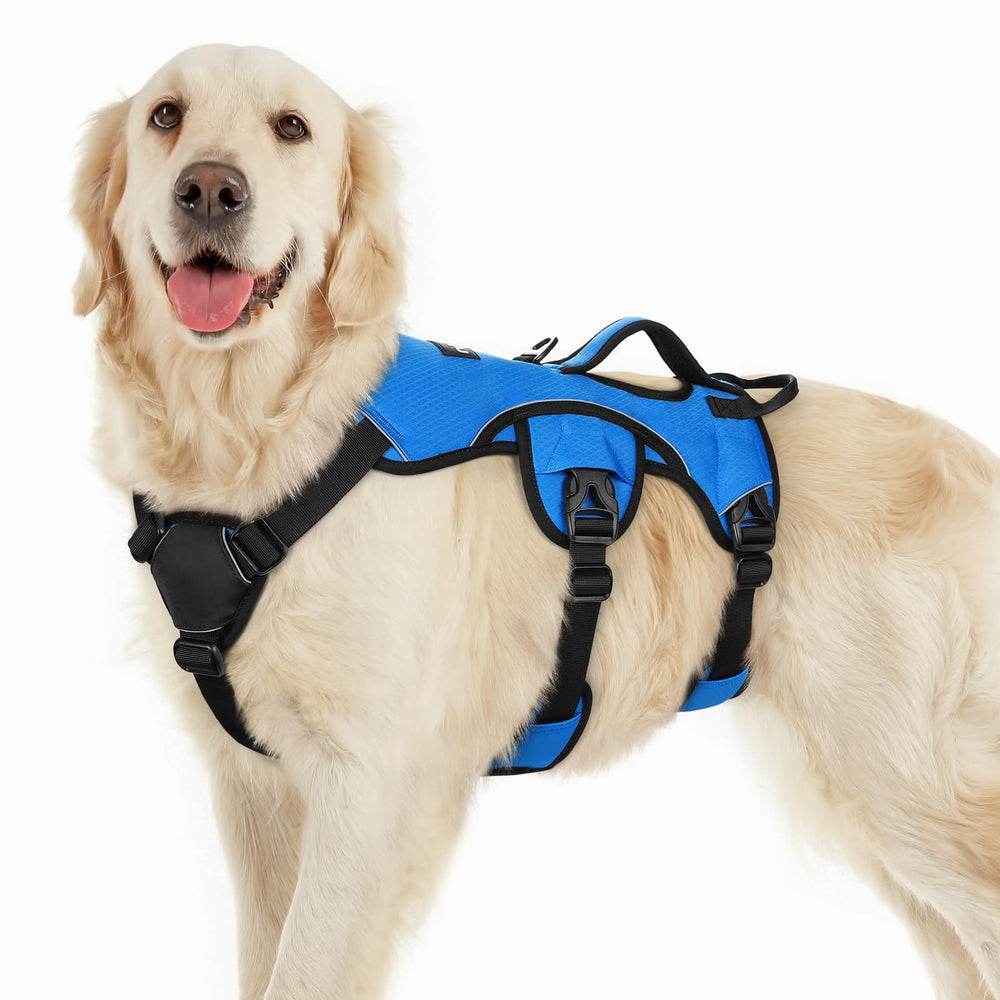 rabbitgoo Escape Proof Dog Harness blue top view shows secure large-dog design for daily walks