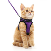 Arnés Rabbitgoo para gato, color morado, con ajuste cómodo para paseos diarios.