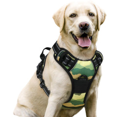 Rabbitgoo Green Mountain dog harness front view with no-pull design for safer, smoother walks.