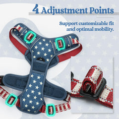 Rabbitgoo large dog harness with adjustable straps for precise fit.