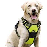 Rabbitgoo no-pull harness green side view for smoother daily walks