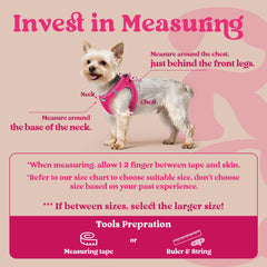 Rabbitgoo small dog harness rose red step-in design enables quick wearing.