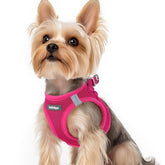Rabbitgoo small-dog-harness rose red xs wear enables cozy, quick steps into harness for tiny dogs.