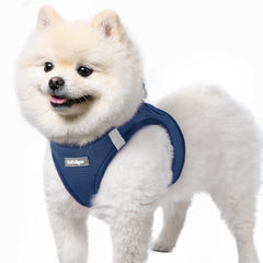 Rabbitgoo small dog harness closeup shows breathable mesh for all day comfort