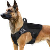 Rabbitgoo tactical dog harness MOLLE side view for attaching pouches on training trips.