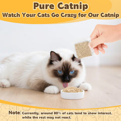 RAINFLOW catnip aroma closeup highlighting natural scent for engagement.
