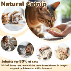 RAINFLOW catnip toy stuffing demo demonstrates versatile enrichment.