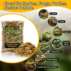 RAINFLOW sphagnum moss substrate egg-laying closeup demonstrates incubation-friendly moisture management.