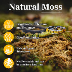 RAINFLOW sphagnum moss reptile bedding terrarium humidity scene highlighting long-lasting moisture.