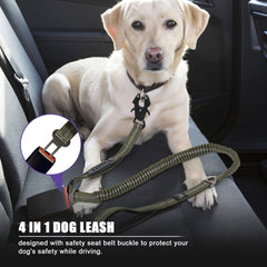 Raipult Tactical Leash elastic-bungee reduces sudden force for smoother runs.