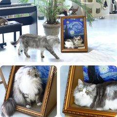 RAKKIHORU Starry Night and Van Gogh Bedroom print on both sides for versatile decor and mood shifts.