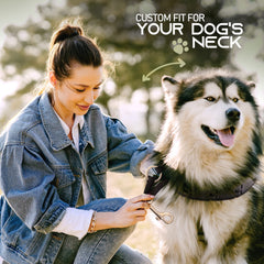 Ram-Pro dog collar strap adjustment links illustrates easy fit customization for growing dogs