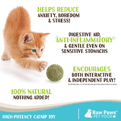 Raw Paws catnip ball packaging shows a 6-count set for easy gifting and stocking.