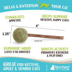 Raw Paws catnip lollipops in action during playtime.