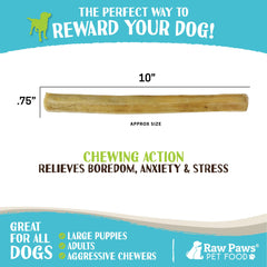 Raw Paws large-dog chew provides durable entertainment for medium to large dogs.