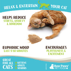 Raw Paws Silvervine Powder cat sniffing a scent-enhanced toy