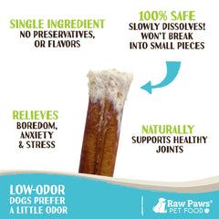 Raw Paws Standard Bully Sticks 6-inch small-dog chew demonstrates safe, single-ingredient beef chew.