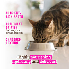 Rawz chicken-liver wet-food close-up showing meaty shreds and moisture.