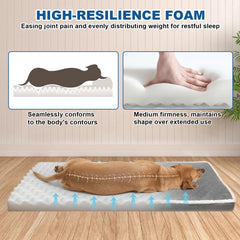 RC SLL waterproof-lining-dog-bed keeps moisture out during indoor lounging.