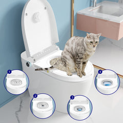 READAEER cat toilet training kit assembled ready for use