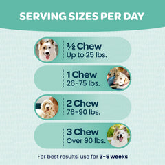 Ready Pet Go Immunity chews being enjoyed by a dog for tasty allergy relief