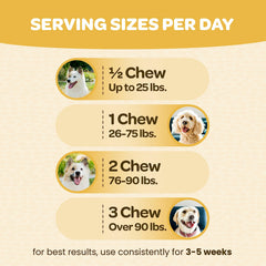 Ready Pet Go! turmeric chews for dogs featured with joint-support packaging for all breeds.