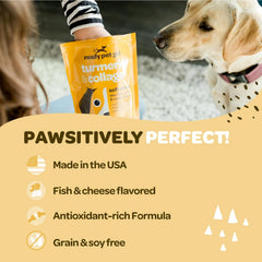 Dog enjoys Ready Pet Go! turmeric chews during a calm treat session.
