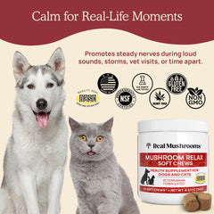 Real Mushrooms calming chews ingredients panel emphasizes plant-based calm
