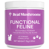 Real Mushrooms cat supplement powder bottle shows a grain-free feline wellness blend.