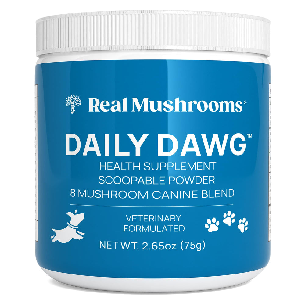 Real Mushrooms dog health jar powder—premium mushroom blend for daily wellness.