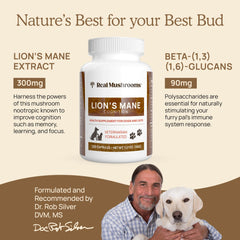 Real Mushrooms Lion’s Mane label highlighting >25% beta-glucans and lab-verified quality.
