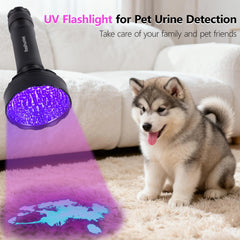 REALHUNLEE pet urine detection scan reveals hidden stains across carpets and bedding.