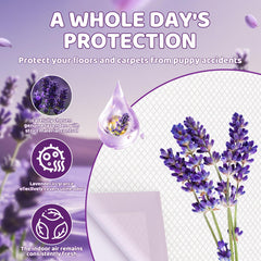 Red Rabbits dog training pads 24x24 pack back — durable backing blocks leaks.