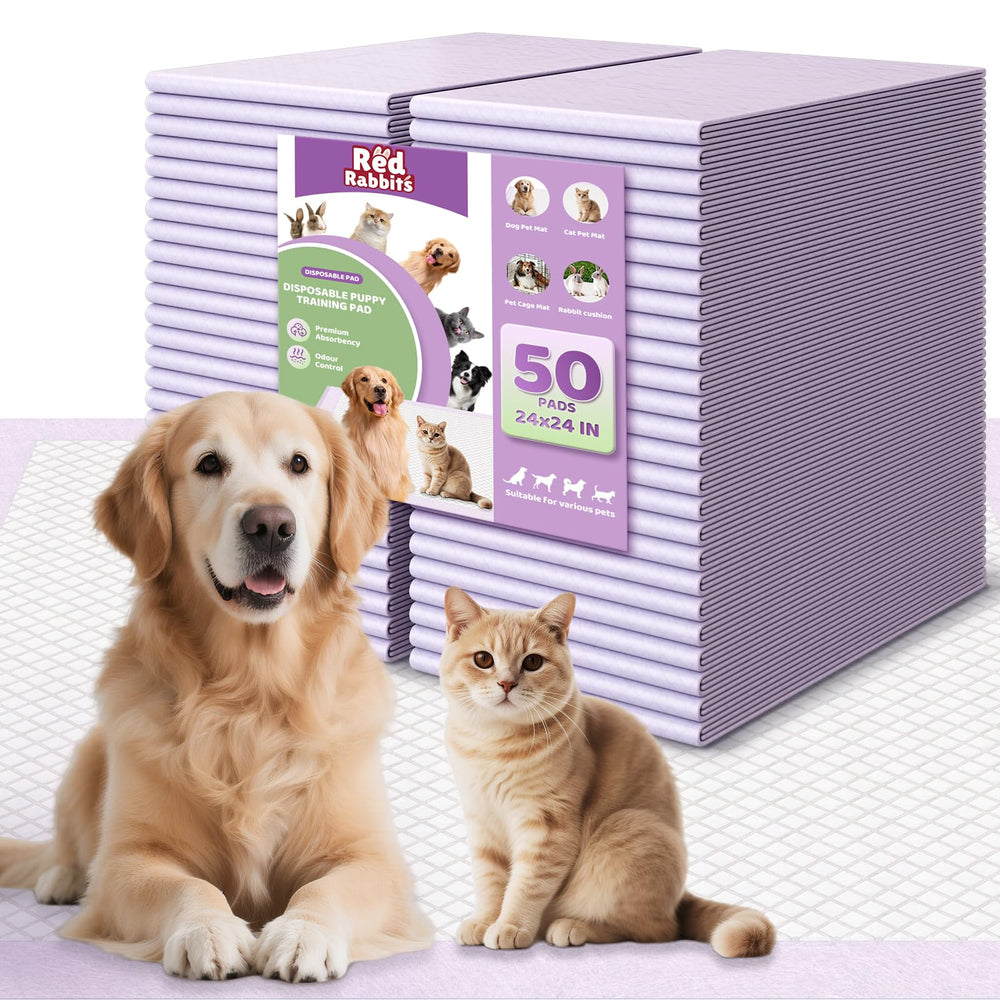 Red Rabbits dog training pads 24x24 pack front — sturdy surface for quick containment.
