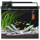 Red Tail Fish 3-gallon tank filter demonstrates reliable water filtration for small setups