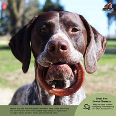 Redbarn Bully Stick Rings dog-chewing-ring keeps dogs engaged during chew time.