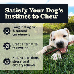 Redbarn bully sticks rawhide-free ingredient — natural beef chew.